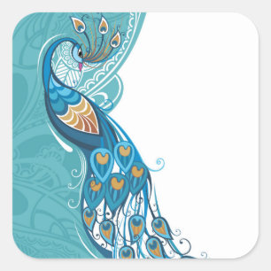 Sticker Carré Paon sur l'illustration turquoise