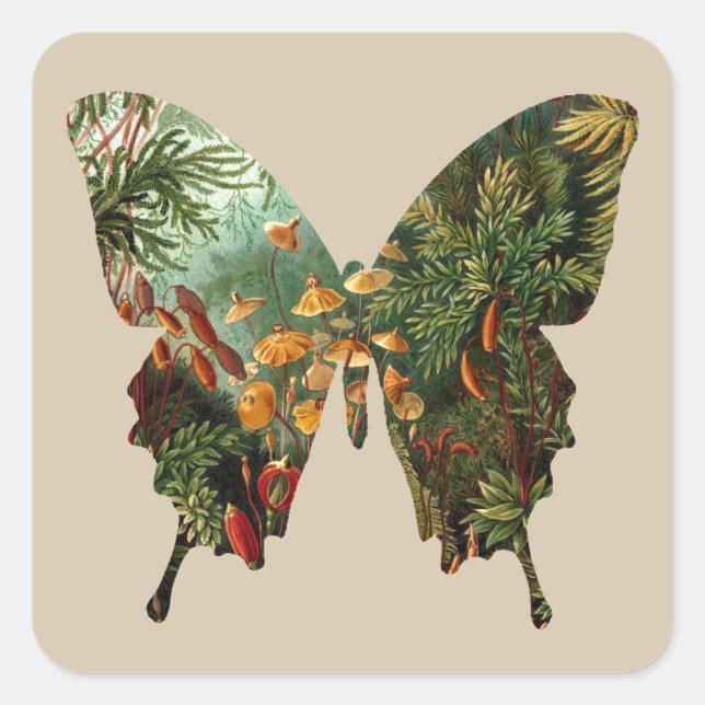 Sticker Carré Papillon Abstrait (Devant)