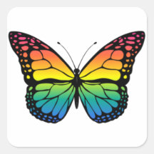 Papillon arc-en-ciel