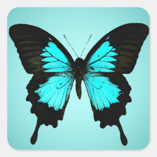 Sticker Carré Papillon - bleu turquoise et noir