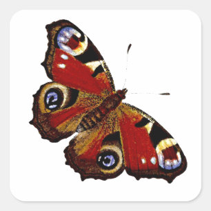 Sticker Carré Papillon coloré