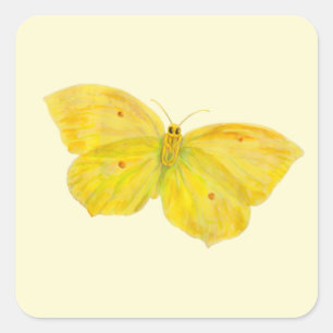 Sticker Carré Papillon jaune Volant de pierre de taille commune