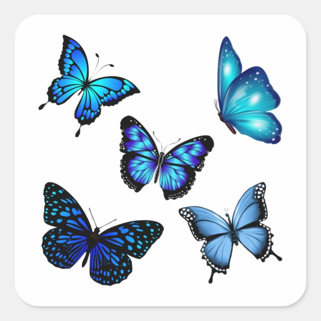 Sticker Carré Papillon Monarque Bleu (Devant)