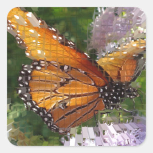 Sticker Carré Papillon monarque Photo Animal d'insectes orange