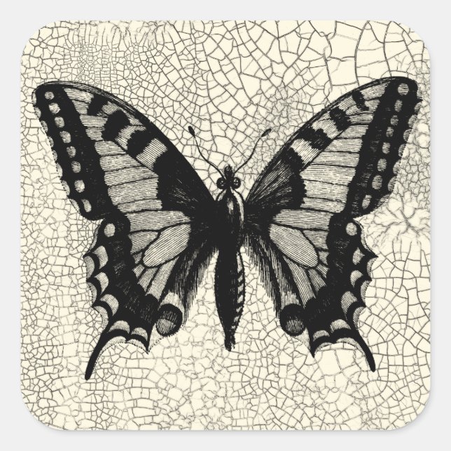 Sticker Carré Papillon noir et blanc sur Arrière - plan fissuré (Devant)