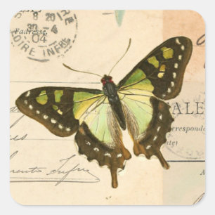 Sticker Carré Papillon vintage rustique dans l'autocollant vert