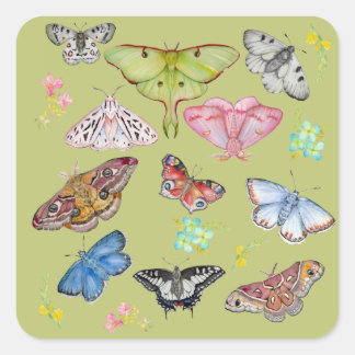 Sticker Carré Papillons à l'aquarelle en vol