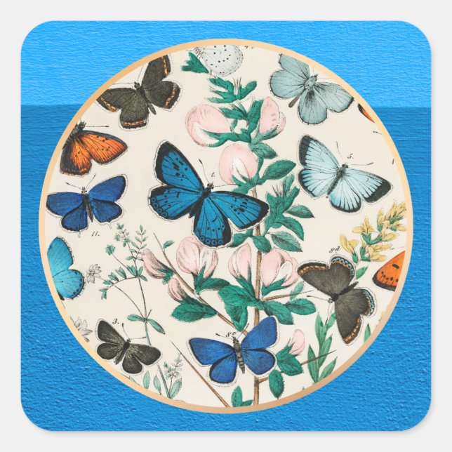 Sticker Carré Papillons, cadre bleu (Devant)
