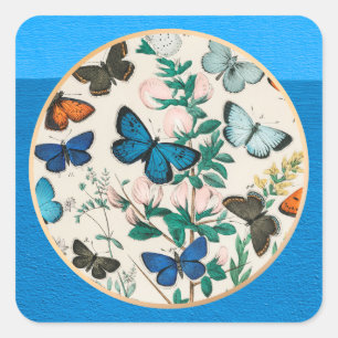 Sticker Carré Papillons, cadre bleu