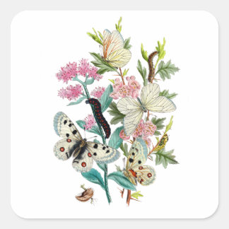 Sticker Carré Papillons de l'été