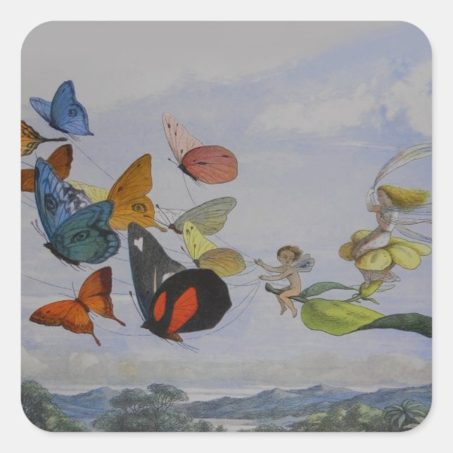 Sticker Carré Papillons et papillons de la reine des fées (Devant)