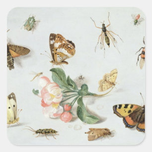 Sticker Carré Papillons, mites et d'autres insectes