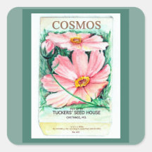 Paquet de semences Cosmos