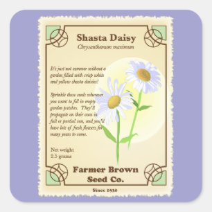 Sticker Carré Paquet de semences Shasta Daisy