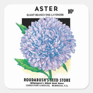 Sticker Carré Paquet de semences vintage, Fleurs d'aster violet