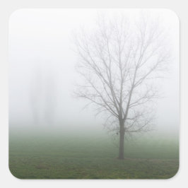 Sticker Carré Parc couvert d'un épais brouillard