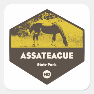 Sticker Carré Parc d'état d'Assateague Maryland