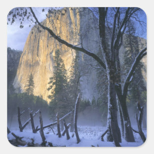 STICKER CARRÉ PARC NATIONAL DE YOSEMITE, CALIFORNIE. ÉTATS-UNIS.