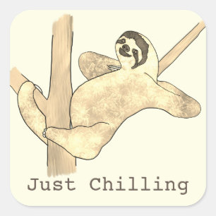 Sticker Carré Paresseux dans un arbre tout simplement détendu Ar