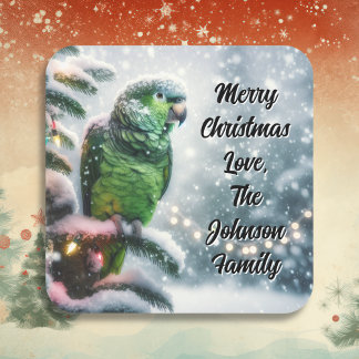 Sticker Carré Parrot Amazon mignon sur une branche d'hiver Noël