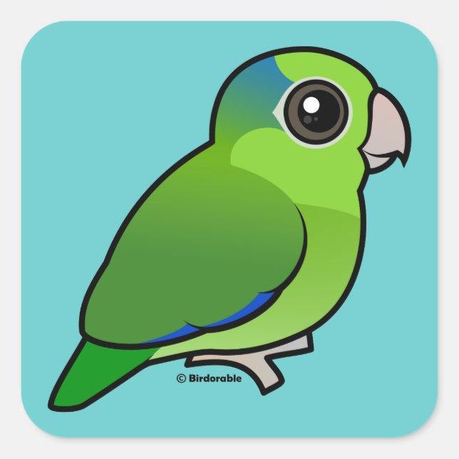 Sticker Carré Parrotlet Pacifique vert (Devant)