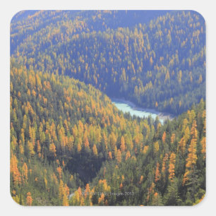 Sticker Carré Passage 2 de Fuorn