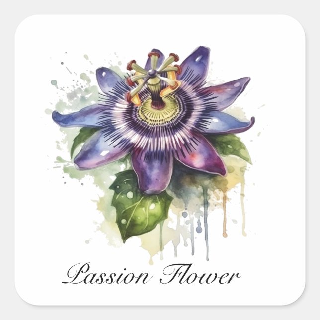 Sticker Carré Passionné Purple Passion Fleur (Devant)