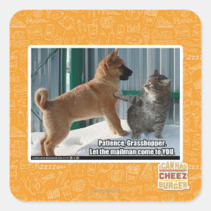 Sticker Carré Patience, sauterelle.