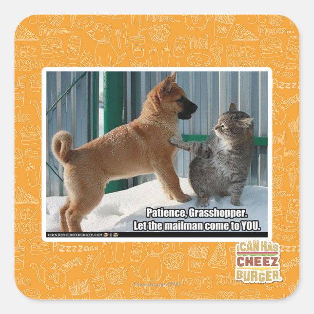 Sticker Carré Patience, sauterelle. (Devant)