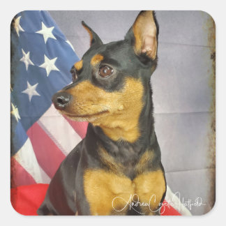 Sticker Carré Patriotic MinPIn