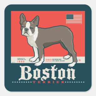Sticker Carré Patriotique Boston Terrier
