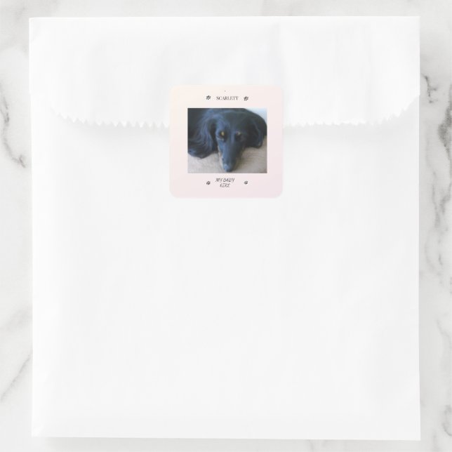 Sticker Carré Paw Print Frame with Pet Name and Nickname (Sac)