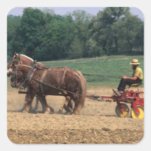 Sticker Carré Pays Amish gens simples dans l'agriculture avec