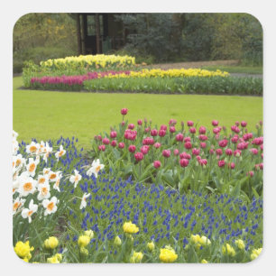 Sticker Carré Pays-Bas aka Hollande), Lisse. Keukenhof 5