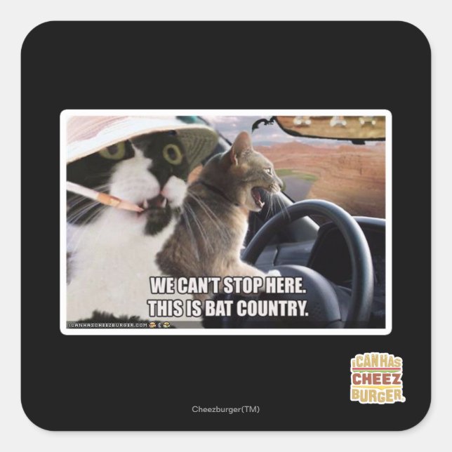 Sticker Carré Pays chauve (Devant)