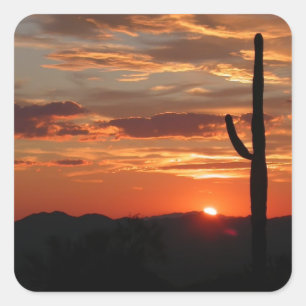 Sticker Carré paysage d'Arizona au coucher du soleil