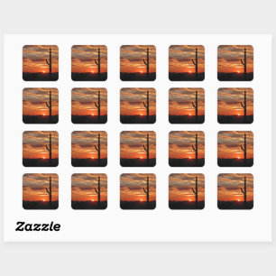 Sticker Carré paysage d'Arizona au coucher du soleil
