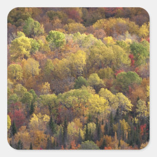 Sticker Carré Paysage d'automne, Vermont, États-Unis 2