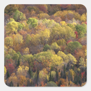 Sticker Carré Paysage d'automne, Vermont, États-Unis 2