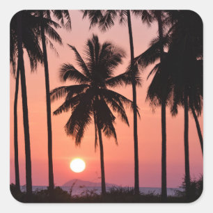 Sticker Carré Paysage des palmiers à coco