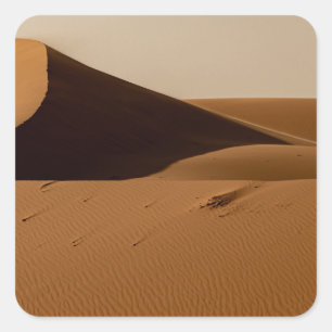 Sticker Carré Paysage du désert des dunes de sable