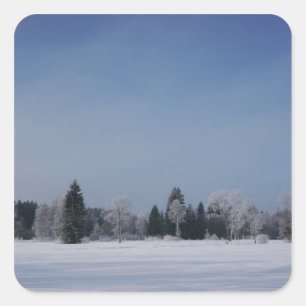 Sticker Carré Paysage hivernal froid et neige 12
