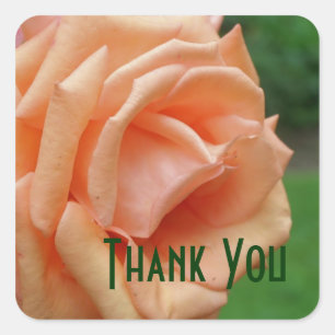 Sticker Carré Peach Roses pétales Merci à fleurs