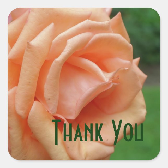 Sticker Carré Peach Roses pétales Merci à fleurs (Devant)