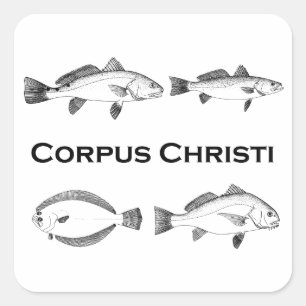 Sticker Carré Pêche de Corpus Christi - poissons de mer
