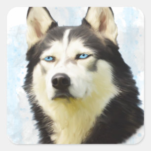 Sticker Carré Peinture à l'aquarelle du chien Husky sibérien