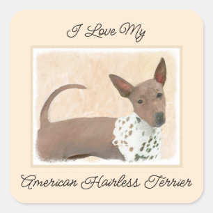Sticker Carré Peinture américaine sans poil Terrier - Chien Art