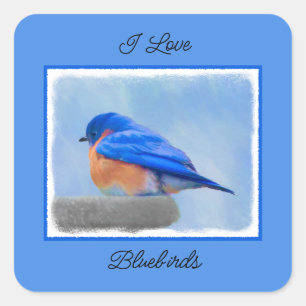 Sticker Carré Peinture Bluebird - Art original pour oiseaux