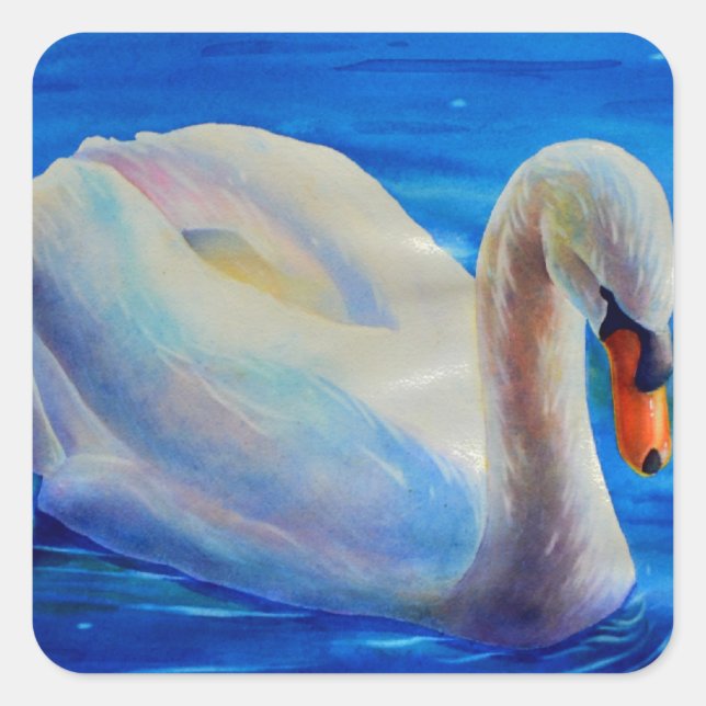 Sticker Carré Peinture d'aquarelle de cygne blanc, sauvagine, oi (Devant)