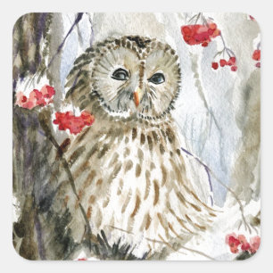 Sticker Carré Peinture d'aquarelle de hibou barré